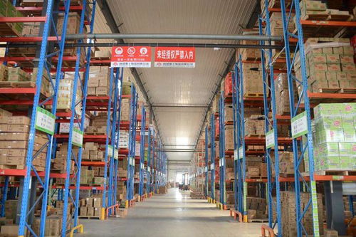 數字化轉型 一場被低估的食品行業物流戰爭